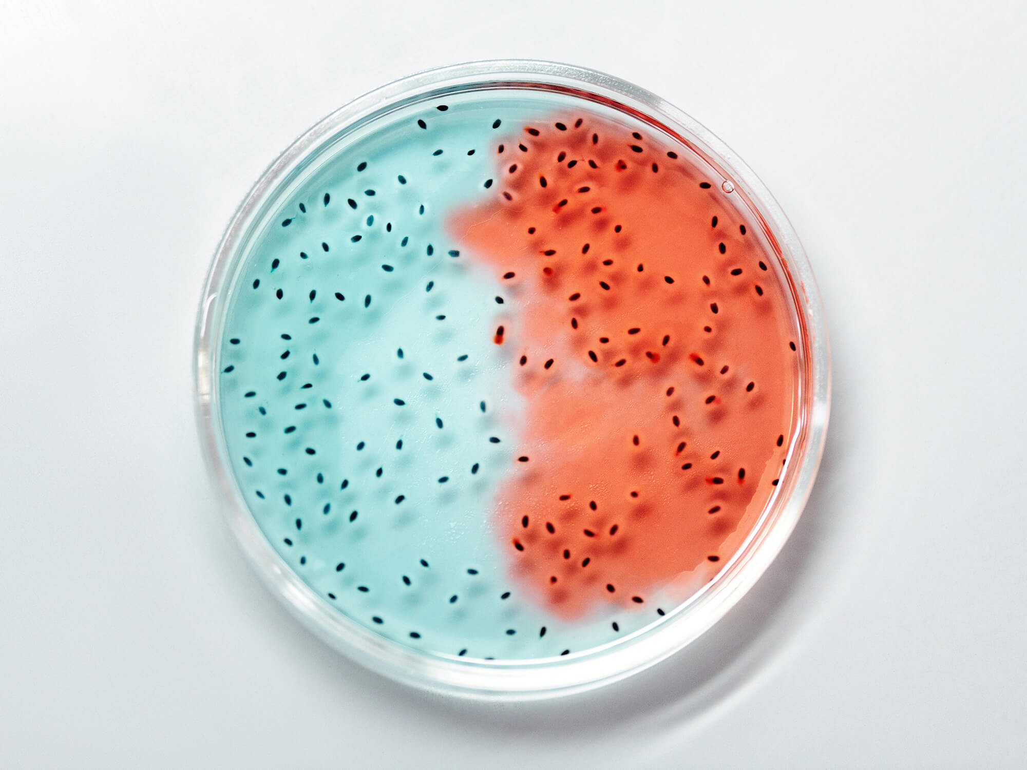 Chemische Reaktivität von Chlordioxid (ClO2)